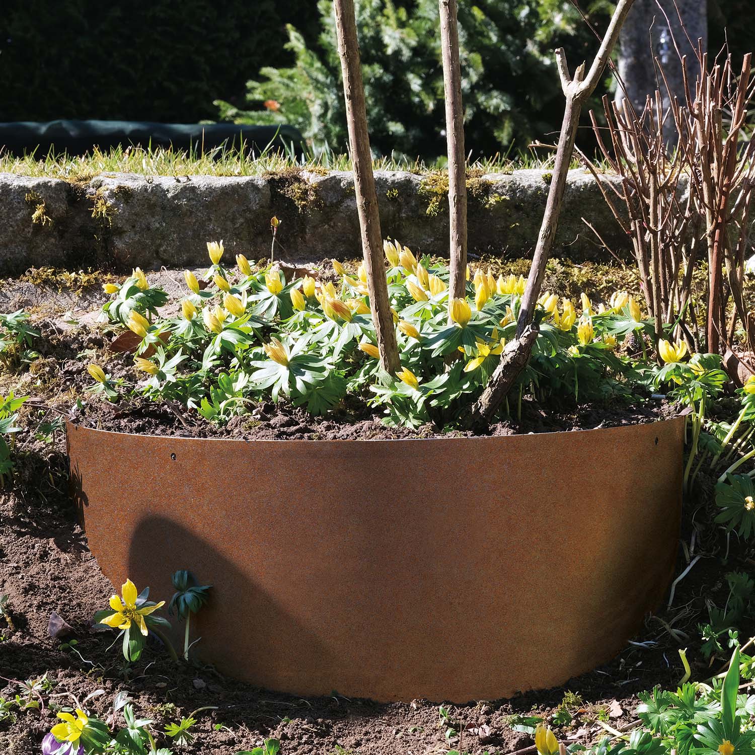Hangpflanzschale COLLINA Corten